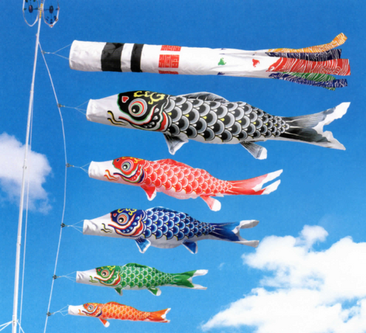 Carp streamer(koinobori)Hagoromo/2m