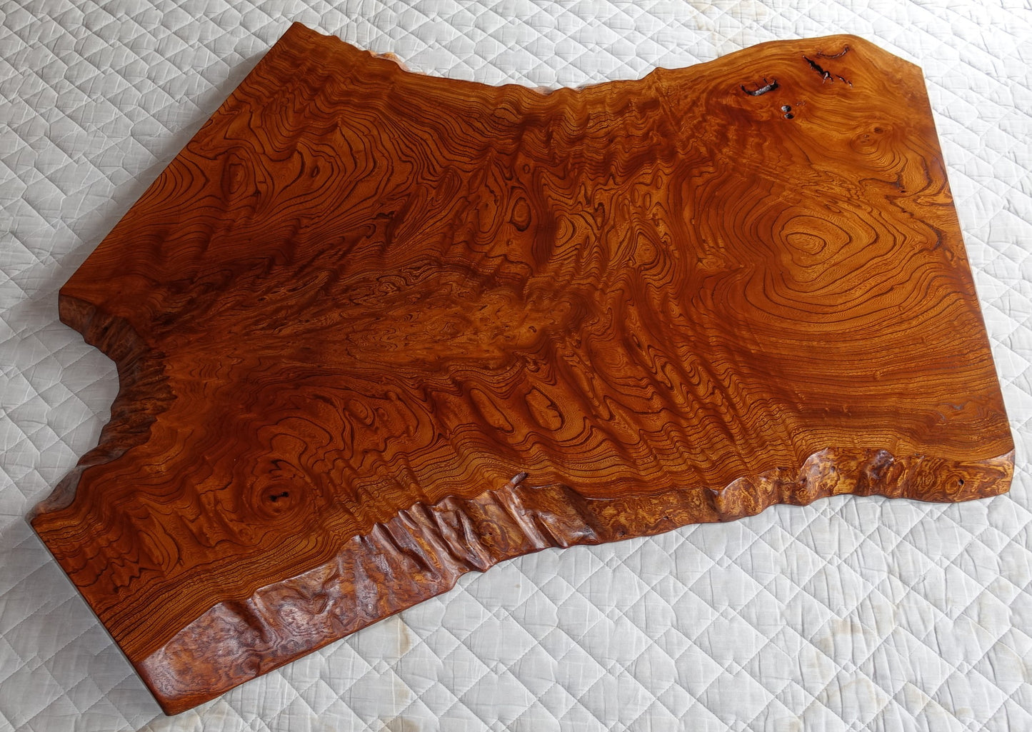 Zelkova board for table