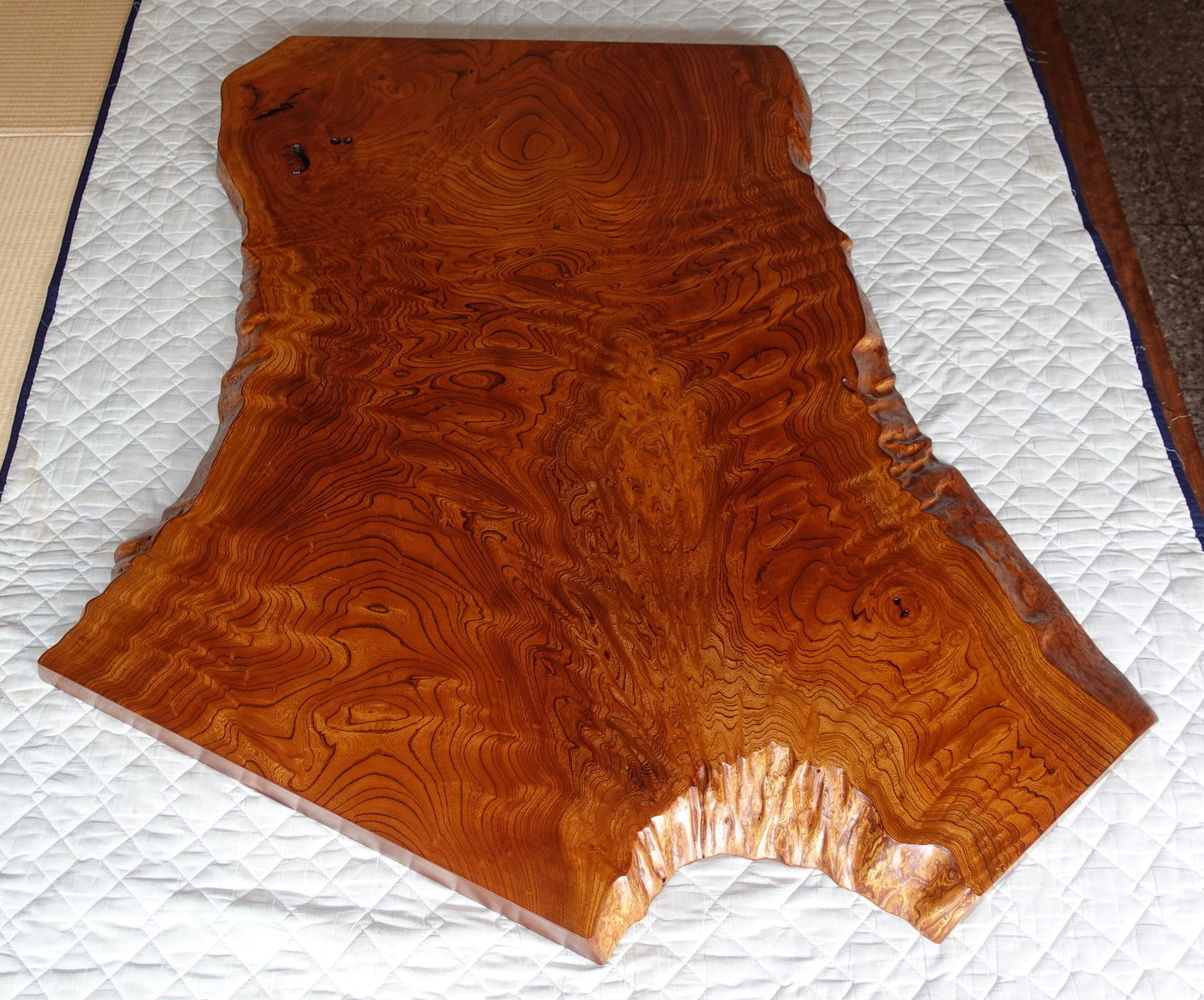 Zelkova board for table