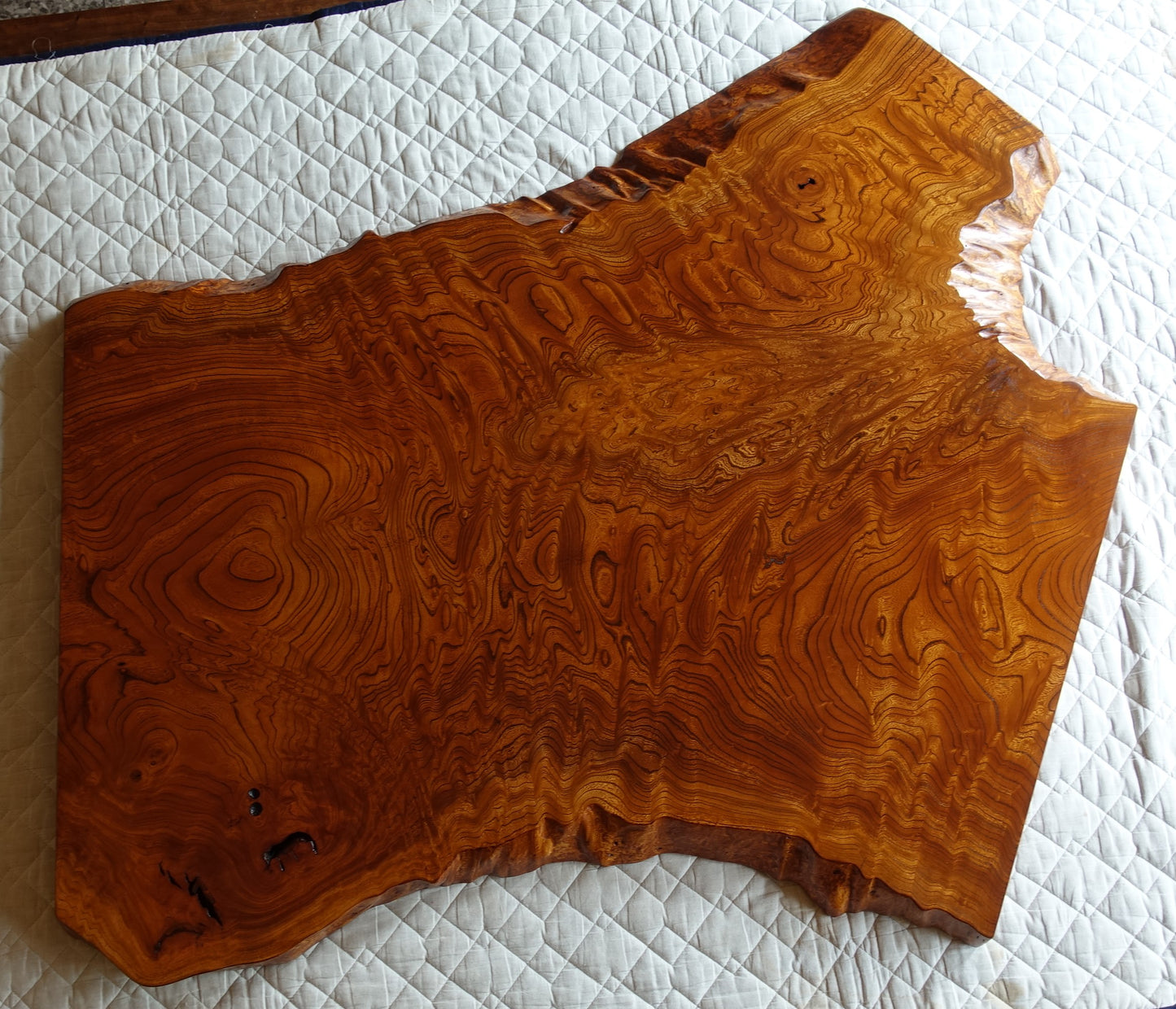 Zelkova board for table